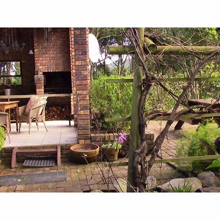 Forest Nest Cottage, Tsitsikamma Стормсрівер Екстер'єр фото