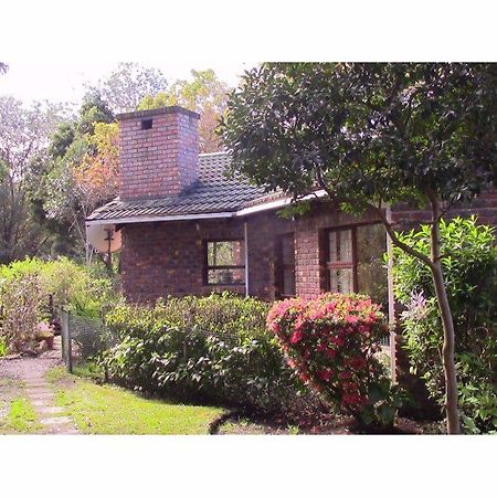 Forest Nest Cottage, Tsitsikamma Стормсрівер Екстер'єр фото