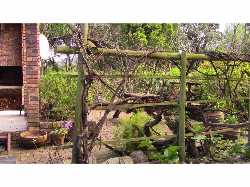 Forest Nest Cottage, Tsitsikamma Стормсрівер Екстер'єр фото